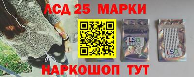 гашик Сланцы