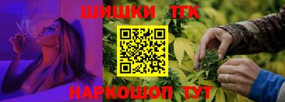гашик Сланцы