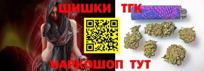 гашик Сланцы