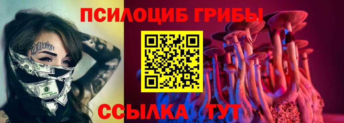 Псилоцибиновые грибы GOLDEN TEACHER  Галлюциногенные грибы Psilocybine cubensis  Павловский Посад  где купить наркотик  Вход с VPN 